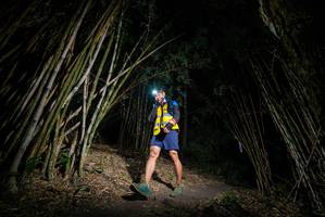 BIB: 
                            <button type="button" onclick="openModal(19395648)" class="btn btn-primary btn-sm float-right btn-popup" data-toggle="modal" data-target=".modal-high-quality">
                        <i class="fas fa-shopping-cart"></i> Add to Cart
                    </button>
                                            <button type="button" onclick="isThisMe(19395648, true)" class="btn btn-success btn-sm float-right btn-popup btn-isme hidden" data-toggle="tooltip" data-placement="bottom" title="นี่คือรูปของคุณใช่ไหม คลิกที่นี่เพื่อเอาเข้าอัลบั้ม">
                        <i class="fas fa-plus"></i> Add to album
                    </button>
                    <button type="button" onclick="isThisMe(19395648, false)" class="btn btn-warning btn-sm float-right btn-popup btn-isnotme hidden">
                        <i class="fas fa-ban"></i> Remove from album
                    </button>